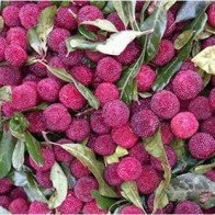 Chưa cấp phép nhập khẩu thanh mai từ Trung Quốc