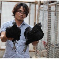 Kiếm tiền tỉ từ nuôi gà cảnh