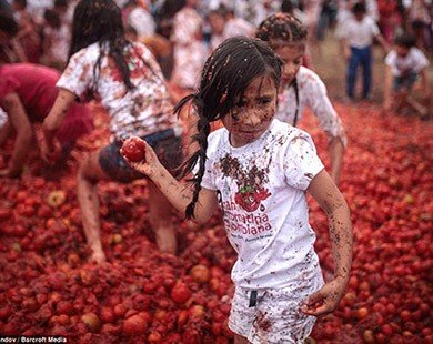 Lễ hội tiêu tốn cả trăm tấn cà chua ở Colombia