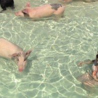 Những tour du lịch độc đáo nhất hành tinh