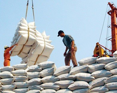Đã xuất khẩu hơn 2 triệu tấn gạo