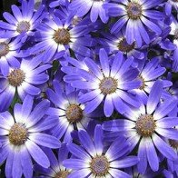 Tử vi cung hoàng đạo thứ ba của bạn (16/06/2015)