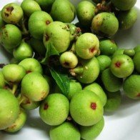 Những thực phẩm cực lợi sữa chẳng cần ăn chân giò