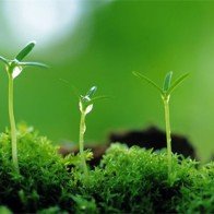 Horoscope thứ Ba chi tiết cho 12 cung Hoàng đạo