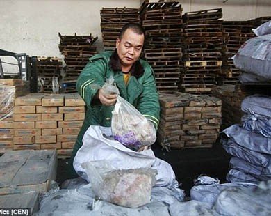 Cận cảnh số thịt đông lạnh 40 năm ở Trung Quốc