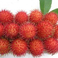 Ăn chôm chôm - con khôn mẹ khỏe