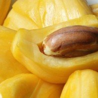 Công dụng chữa bách bệnh từ hạt mít