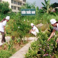 Bài thuốc dân gian chữa bệnh trĩ hiệu quả