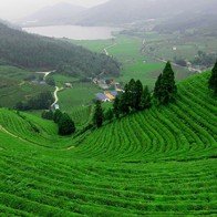 Kinh nghiệm phượt Bảo Lộc mùa mưa