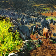Hà Giang tập trung đẩy mạnh phát triển du lịch vùng cao nguyên đá