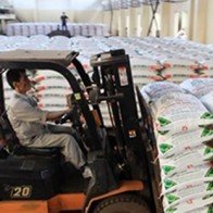 Phân bón "rởm" từ Trung Quốc vẫn tràn lan trên thị trường