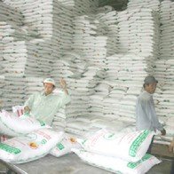 Giá đường giảm nhờ đường nhập của ‘bầu’ Đức