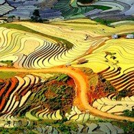Lào Cai là điểm đến đẹp nhất thế giới