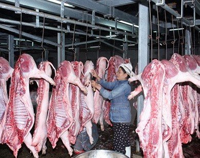 Phát hiện chất cấm trong các mẫu thịt lợn ở tỉnh Đồng Nai
