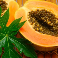 Khám phá bất ngờ về đu đủ bạn chưa biết tới