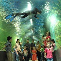 Nghỉ lễ Quốc khánh 2-9 đến Thiên đường Bảo Sơn có gì đặc biệt?