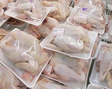 Đang xem xét kiến nghị áp thuế chống bán phá giá đối với gà nhập khẩu vào Việt Nam