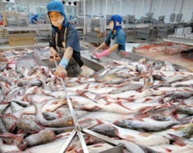 Phá giá Nhân dân tệ tác động thế nào đến hàng nông thủy sản Việt Nam?