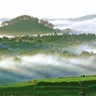 Khám phá cao nguyên Di Linh – Đà Lạt