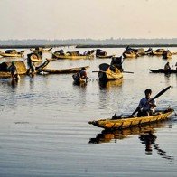 Sóng nước Tam Giang