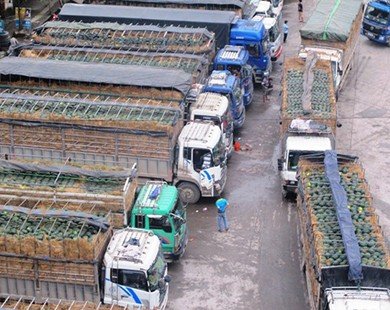 Trung Quốc tăng mua trái cây khiến cửa khẩu ùn tắc
