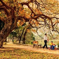 Việt Nam dẫn đầu top 10 điểm đến mùa Thu 2015