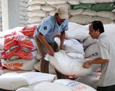 Giấy phép xuất khẩu “trói chân” ngành sản xuất lúa gạo Việt Nam