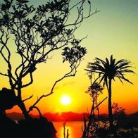 Đảo Bánh Sữa nguyên sơ trên vịnh Bái Tử Long