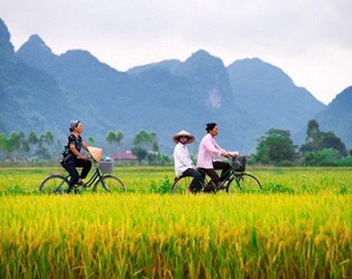 7 nét quyến rũ ở Việt Nam khách nước ngoài tìm thấy