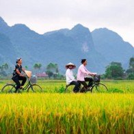 7 nét quyến rũ ở Việt Nam khách nước ngoài tìm thấy