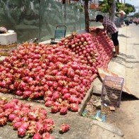 Thanh long 10 ngàn/kg đổ đống khắp vỉa hè Hà Nội