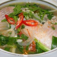 Công dụng chữa bệnh của cá diêu hồng