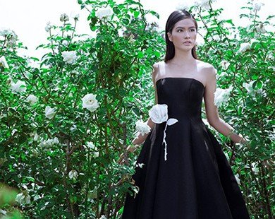 Hoa hậu Philippines kiêu sa trong thiết kế Đỗ Mạnh Cường