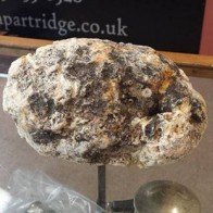 Kiếm được hàng trăm triệu đồng vì nhặt được phân cá voi