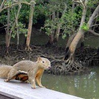 Hành trình khám phá khu bảo tồn Bukit – Timah