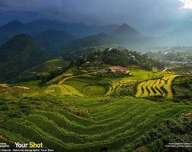 Ruộng bậc thang Việt Nam lọt vào top ảnh du lịch năm 2015