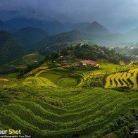 Ruộng bậc thang Việt Nam lọt vào top ảnh du lịch năm 2015