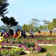 Lâm Đồng đầu tư 6 tỷ đồng xây dựng tiểu cảnh hoa bên hồ Xuân Hương phục vụ Festival