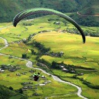 "Bay trên mùa vàng" đèo Khau Phạ