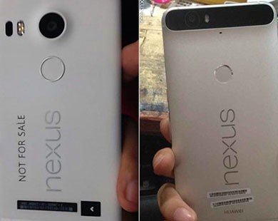 Điện thoại Nexus mới của Google có tên Nexus 5X và Nexus 6P