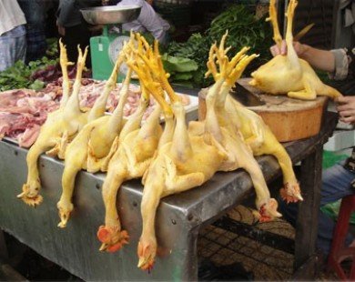 Cách nhận biết thịt gà nhuộm hóa chất vàng da
