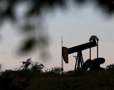 Giá dầu vẫn sụt mạnh