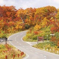 Lãng mạn mùa thu Kyoto Nhật Bản