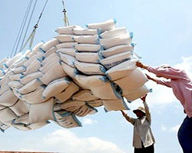 Chỉ Việt Nam giá trị xuất khẩu gạo giảm