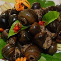 Bài thuốc chữa nhiều căn bệnh thường gặp từ ốc nhồi