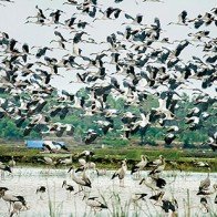 5 điểm đến ở Việt Nam nhất định phải đi vào tháng 10