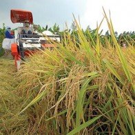 Việt Nam thu hút các nhà đầu tư nước ngoài