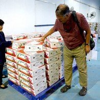 Trái cây Việt khó xuất ngoại vì cước phí cao