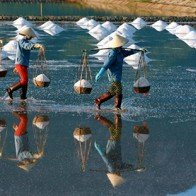 Chiêm ngưỡng "núi tuyết trắng" trên đồng muối Hòn Khói