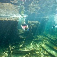 Khám phá 'con thuyền Noah' ở UAE